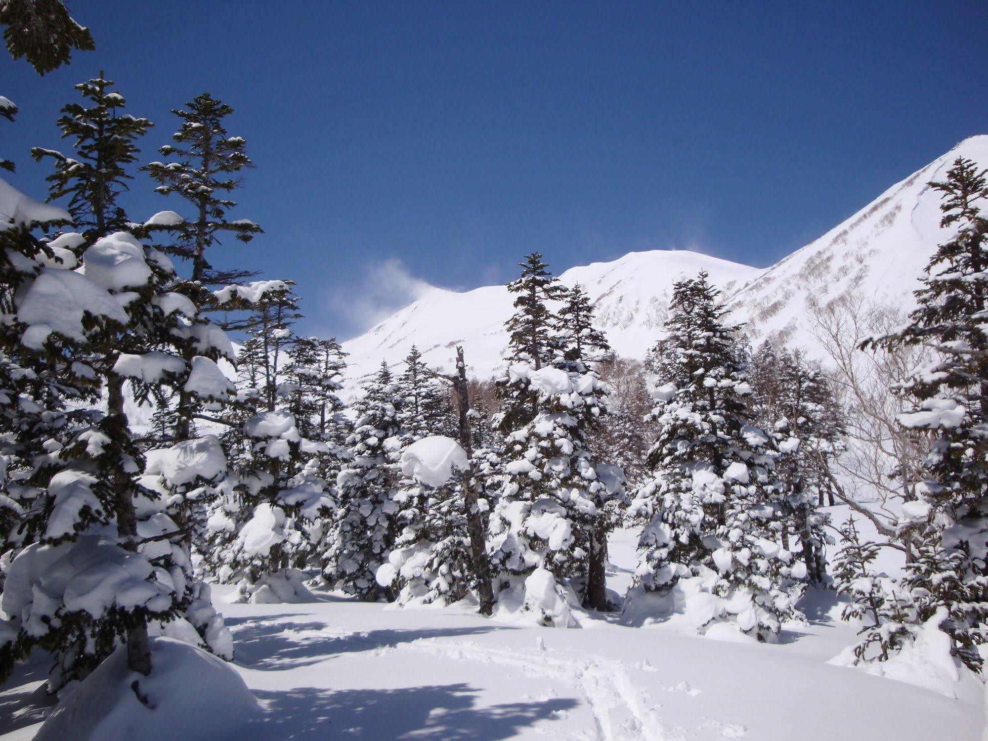 Ryokan La Montagne Furuhata