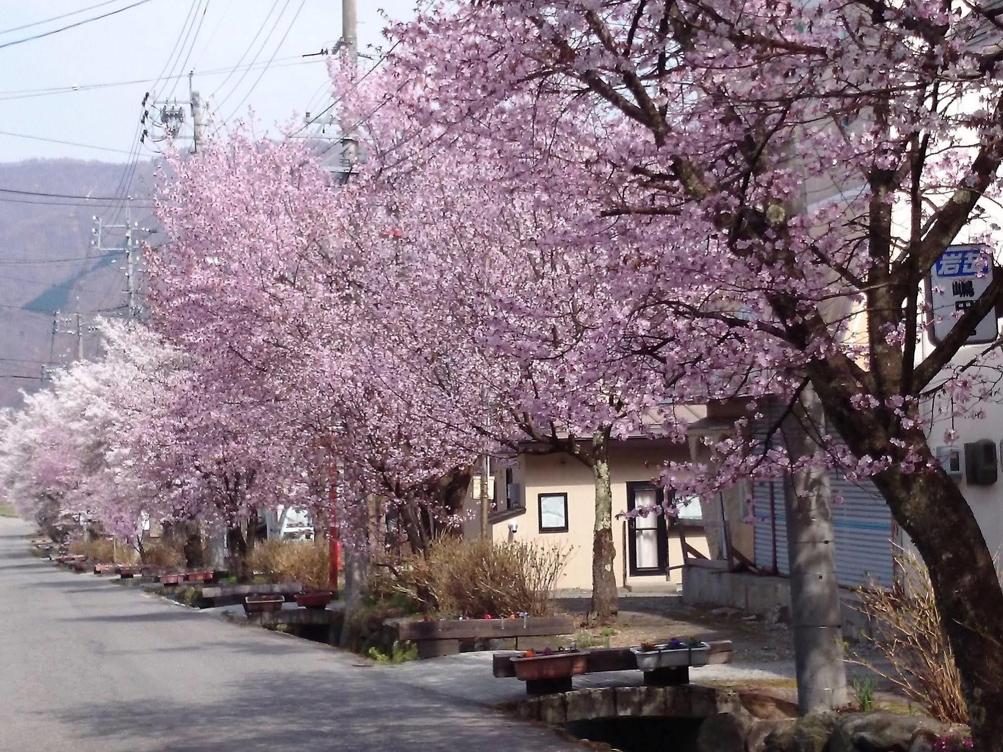La Montagne Furuhata Ryokan 3*